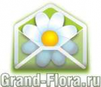 Логотип компании Доставка цветов Гранд Флора (ф-л г. Ахтубинск)